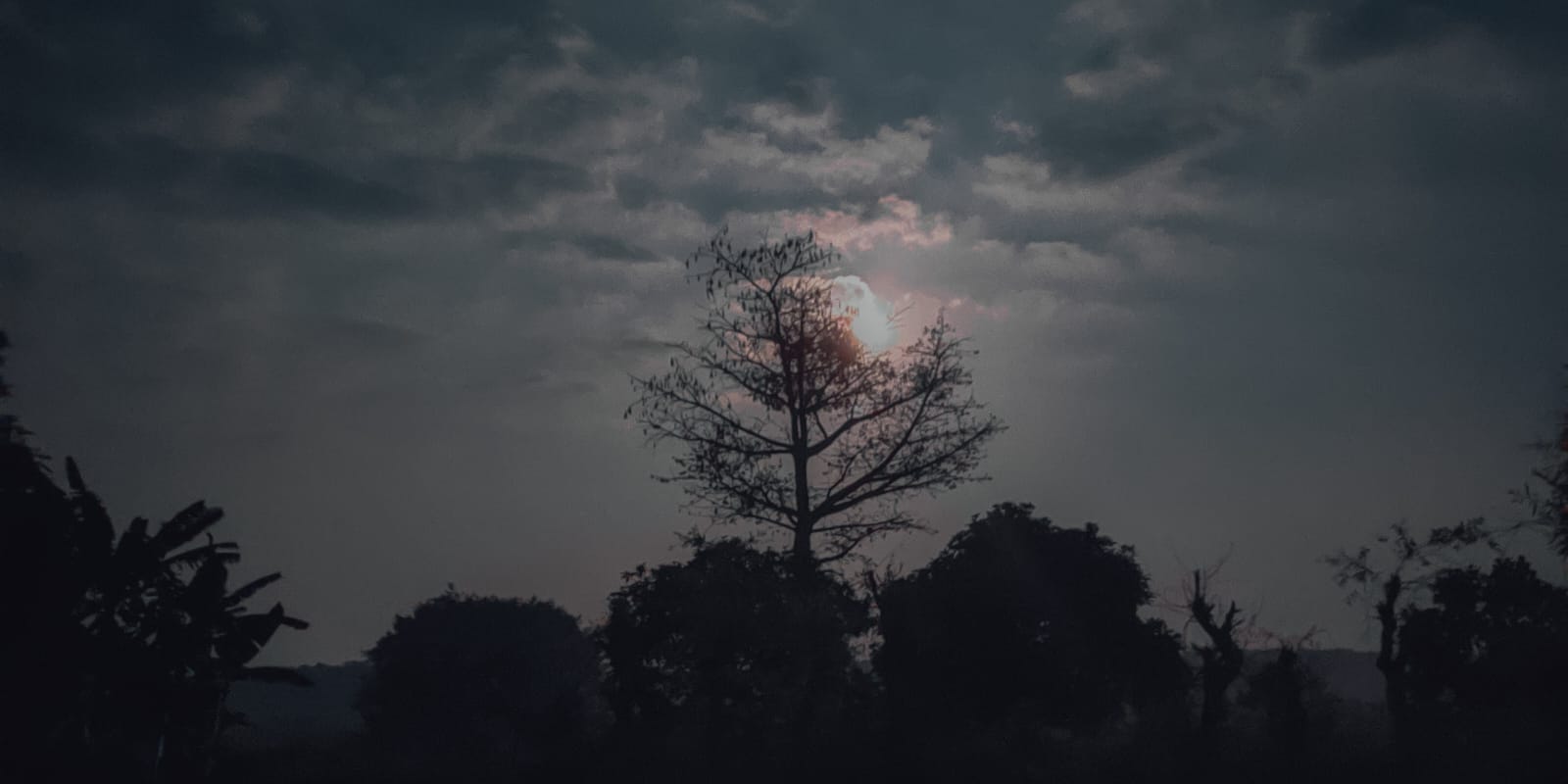 Cover Header