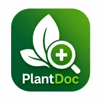 APlikasi deteksi  penyakit tanaman